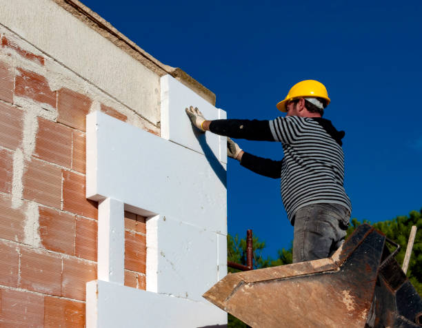 Best Insulation Contractors for Homes  in Carl Junction, MO