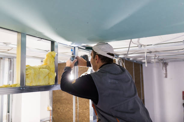 Best Best Insulation Companies  in Carl Junction, MO