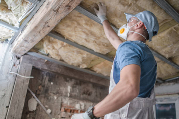 Insulation Repair Services in Carl Junction, MO