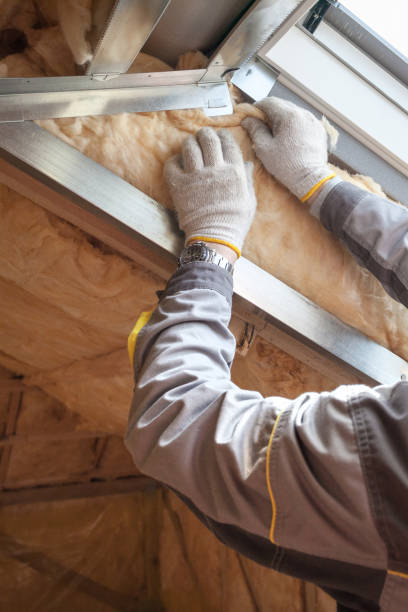 Best Insulation for New Construction  in Carl Junction, MO