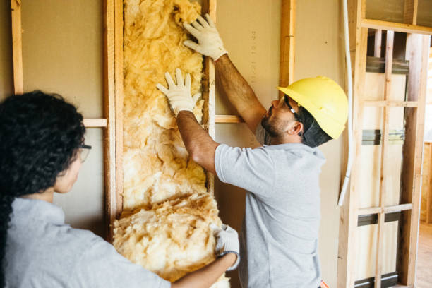 Best Wall Insulation Contractor  in Carl Junction, MO