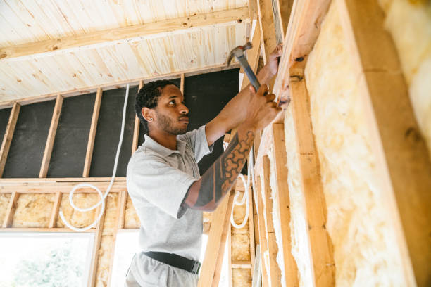 Best Affordable Insulation Services  in Carl Junction, MO