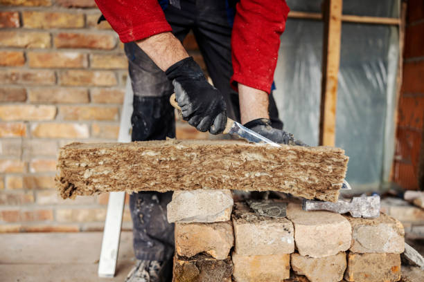Best Energy-efficient Insulation  in Carl Junction, MO