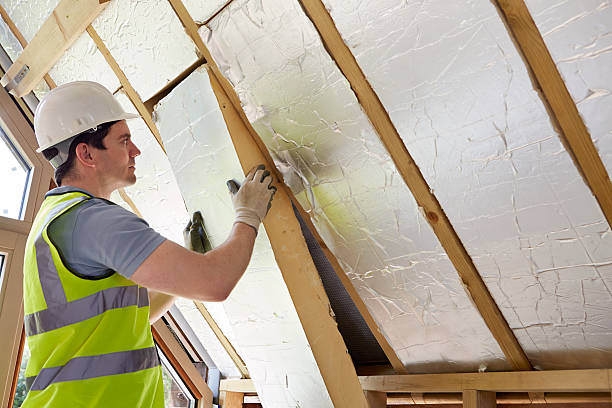 Best Insulation Replacement Services  in Carl Junction, MO