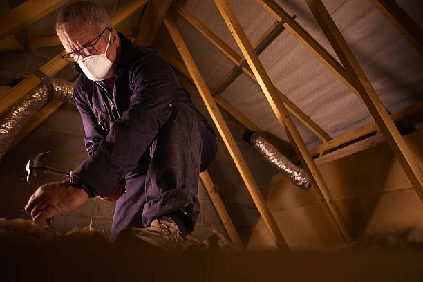 Best Professional Insulation Contractor  in Carl Junction, MO