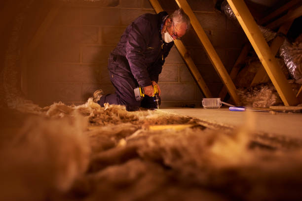Best Insulation for New Construction  in Carl Junction, MO